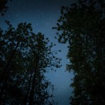 starry night
